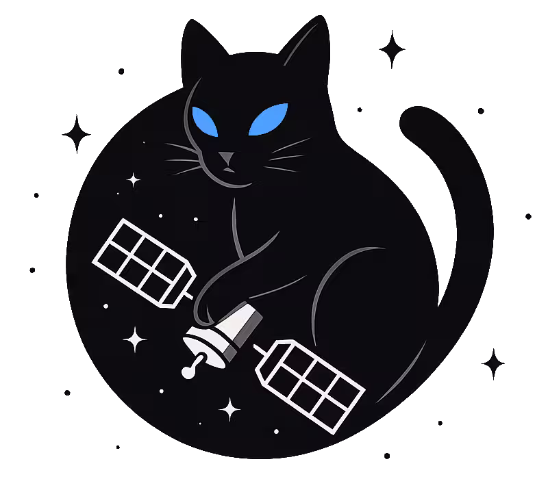 Logo (cat catching a satellite)