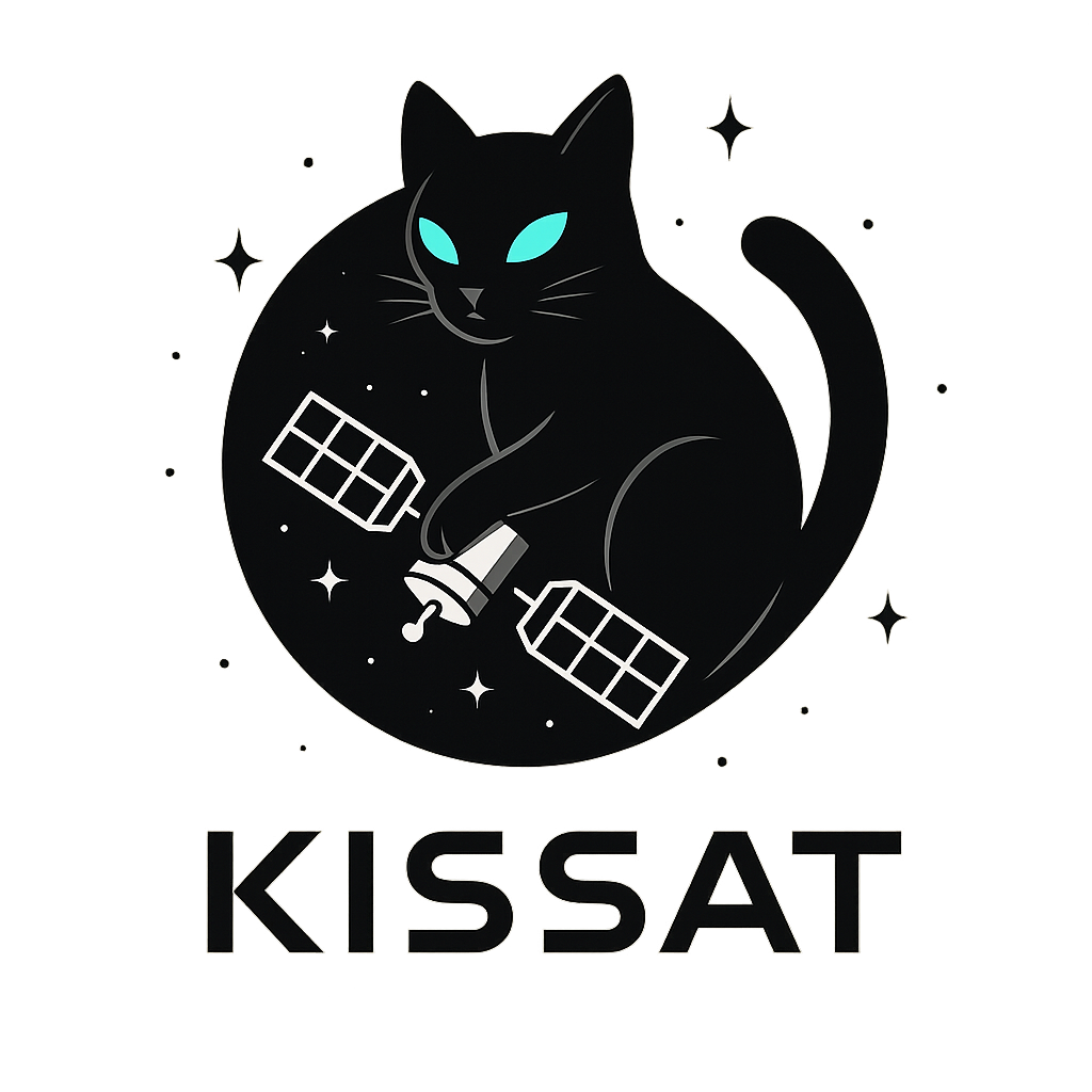 Logo (cat catching a satellite)